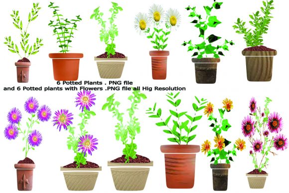 12 Potted Plants: Graphics and Illustrations for Branding