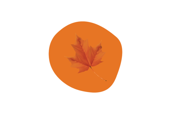 Autumn Leaf Season Svg Review