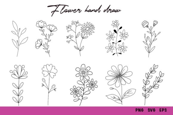 Beautiful Wildflowers Hand Drawn Set Graphics and Illustrations Review
