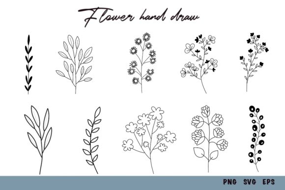 Botanical Hand Drawn Set Graphics and Illustrations Review