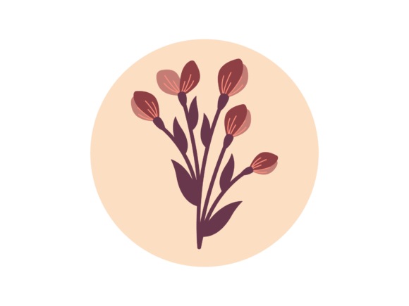 Flower Aesthetic Graphics and Illustrations Review