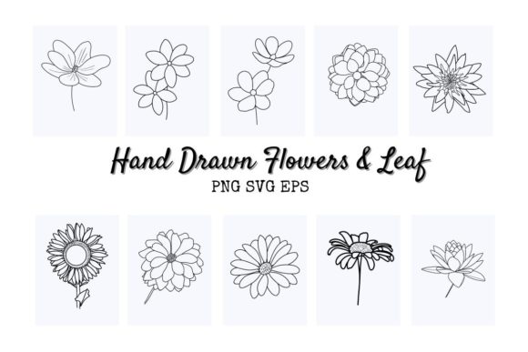 Flower Illustration Digital Hand Drawn Graphics and Illustrations Review
