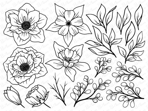 Flower Line Art Graphics and Illustrations Review