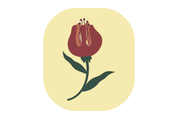 Flower Maroon Graphics and Illustrations Review
