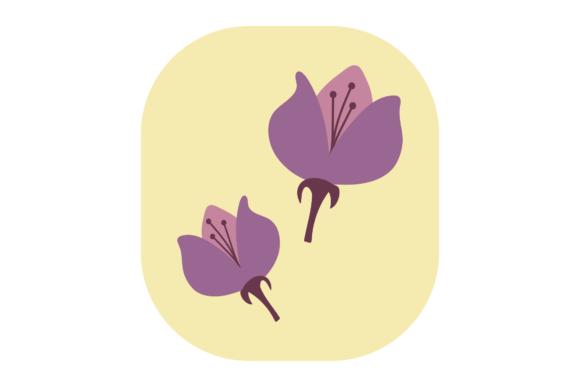Flower Purple Cotton Graphics and Illustrations