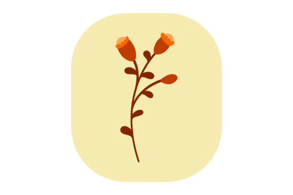 Flower Red Orange Graphics and Illustrations Review