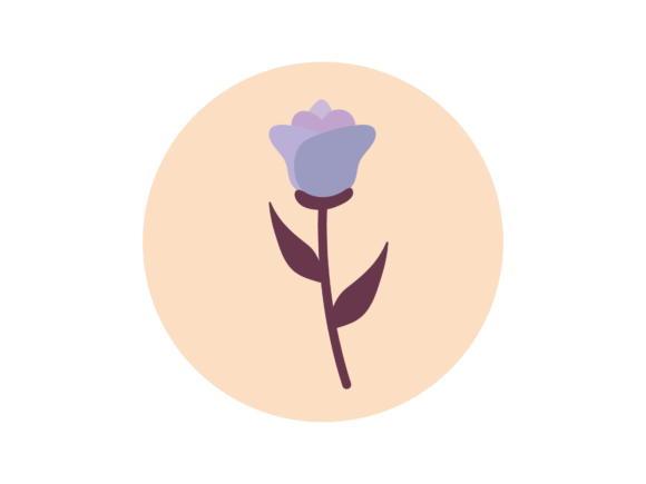 Flower Rose Graphics and Illustrations Review