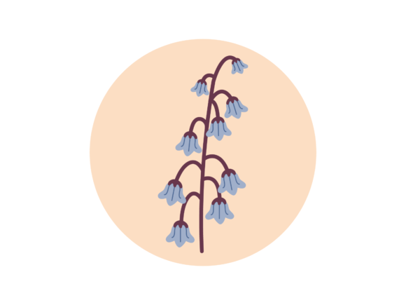 Flower Soft Blue Graphics and Illustrations Review