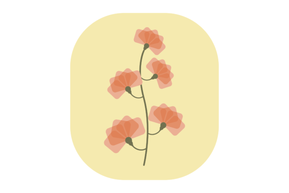 Flower Soft Orange Graphics and Illustrations Review
