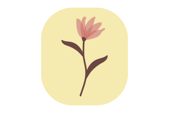 Flower Soft Pink Graphics and Illustrations Review