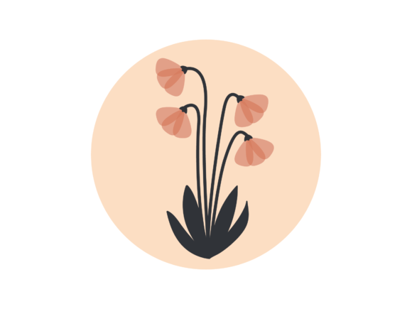 Flower Transparent Pink: A Designer’s Review of Graphics and Illustrations for Modern Projects