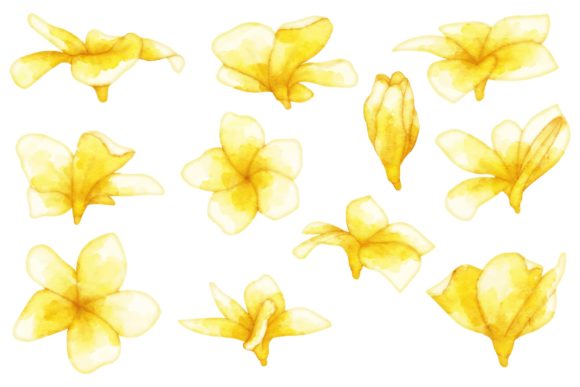 Flower Watercolor Arrangement: Graphics and Illustrations for Sellers