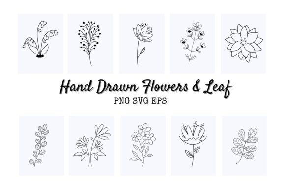 Hand Draw Flower and Leaf Graphics and Illustrations Review