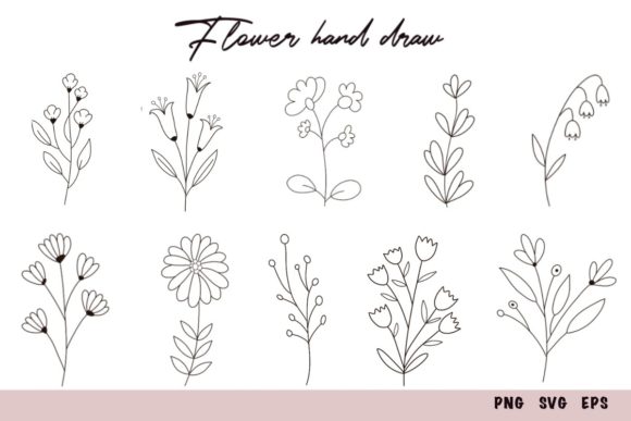 Hand Drawn Botanic Clipart Bundle: Graphics and Illustrations for Branding