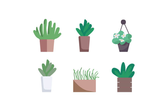 Houseplants Flat Color Vector Object Set Graphics and Illustrations Review