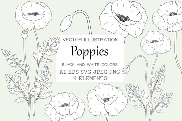 Poppies Graphics and Illustrations Review