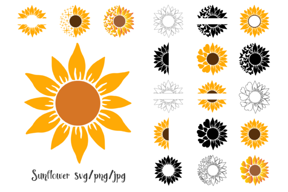 Sunflower Set Graphics and Illustrations Review