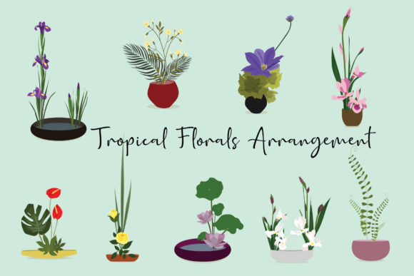 Tropical Florals Arrangement Graphics and Illustrations Review