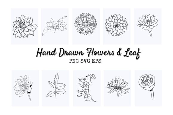 Tulip Wildflower SVG Hand Drawn Graphics and Illustrations Review