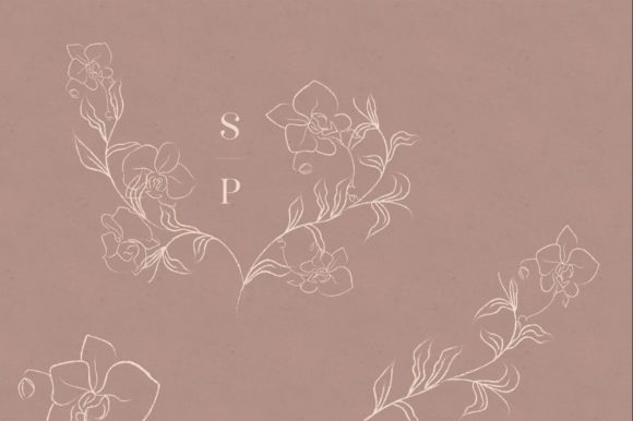 White Line Drawing Delicate Orchid Graphics and Illustrations Review