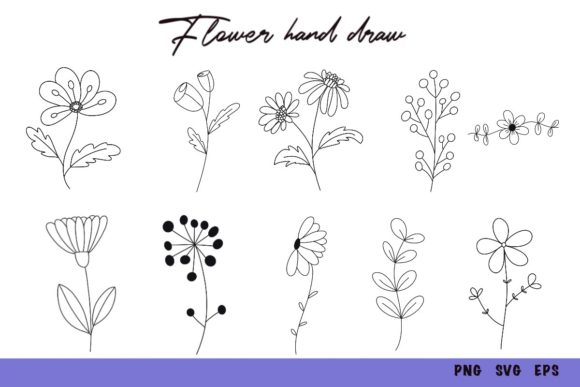 Wildflower Botanical Vector Set: Graphics and Illustrations Review
