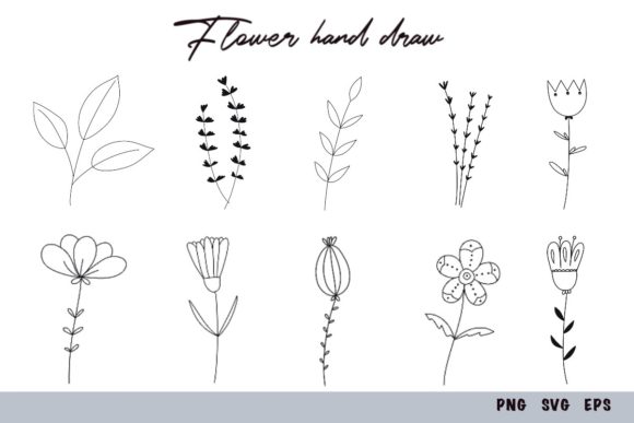 Wildflowers Hand Drawn Set: Graphics and Illustrations for Digital Sellers